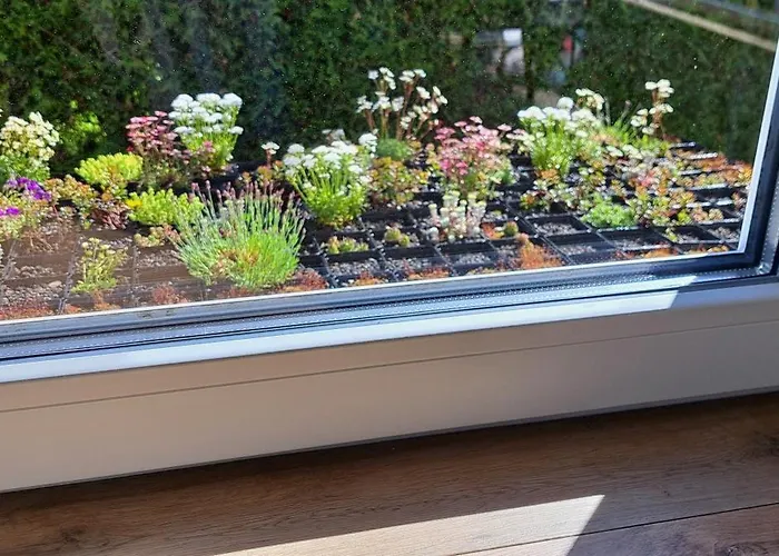 Vakantiehuis Adelon Möhnesee